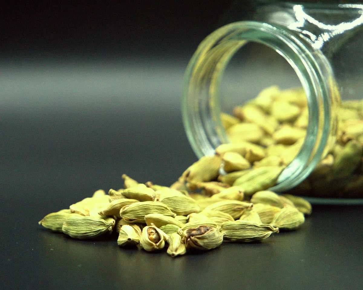 Cardamome